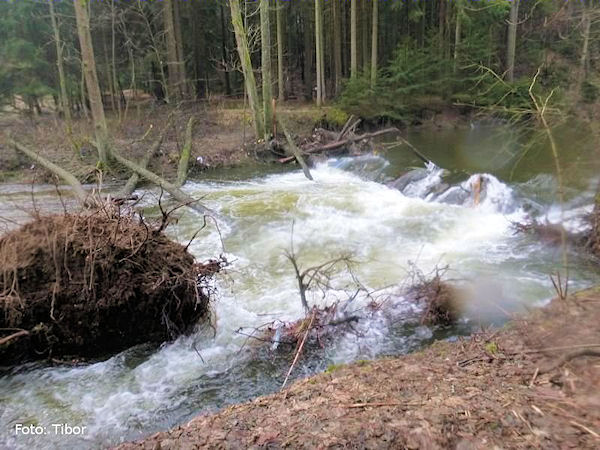 rkm. 9,6 Stupeň zapadaný olšemi