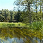 Brda pod obcí Żołna