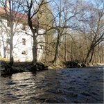 Divoká Orlice pod Bartošovicemi