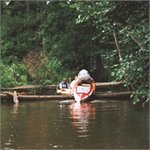 Stará řeka - Hedvika Jermanová