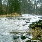 Odrava