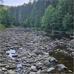 Situace pod jezem Dlouha Ves - 1,5 km suché koryto