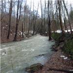 Pod hrází Konopišťského potoka