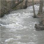 meandry a peřejky za Hamry za stavu 40 cm