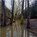 Nejhořejší úsek pod Radimovicemi