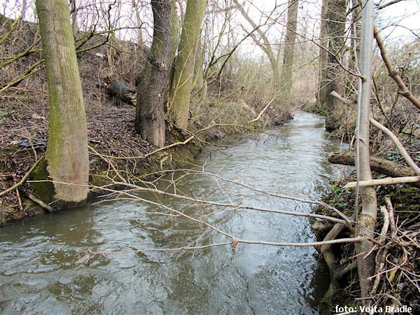 Nad Dřenicemi Nad Dřenicemi
