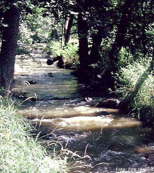 Horní úsek Horní úsek