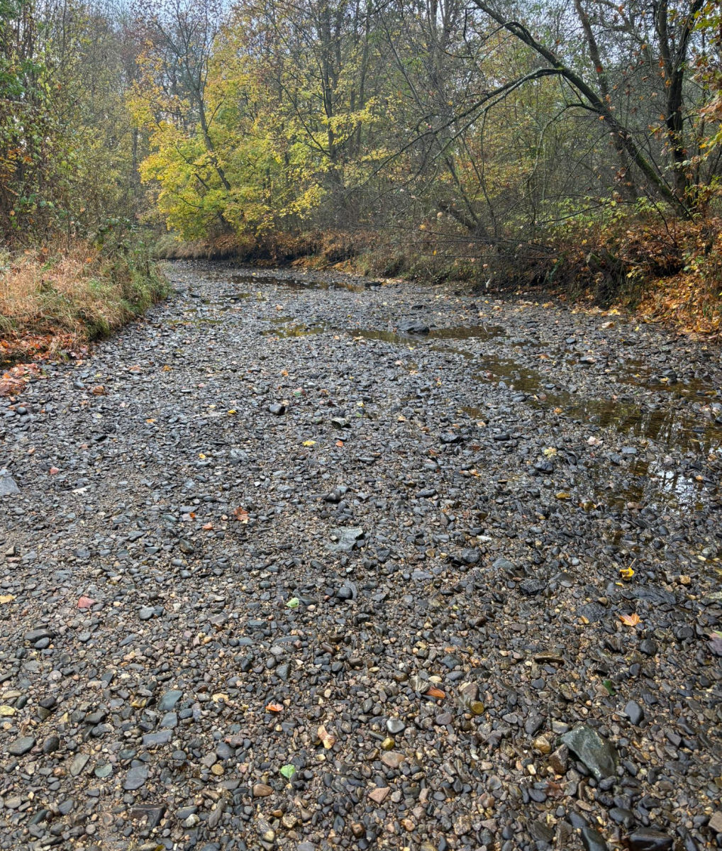 Následky zastavení vody pod jezem Následky zastavení vody pod jezem