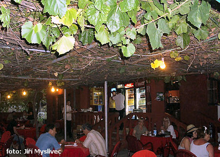 restaurace Mimoza restaurace Mimoza