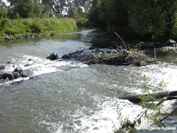 rkm. 280,7  Třeština