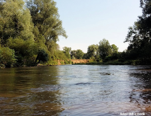 Odra před Polankou