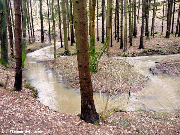 Říčka pod Ochozem není velká řeka Říčka pod Ochozem není velká řeka