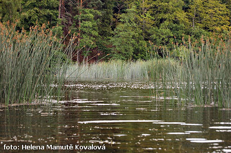 Vjezd na jezero Kryzne Vjezd na jezero Kryzne