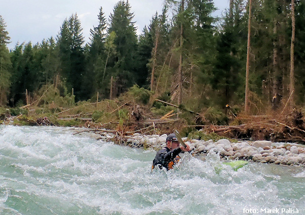 Ilustrační foto - popadané stromy na Belé