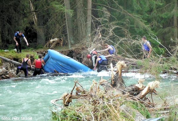 Raft pod stromem Raft pod stromem