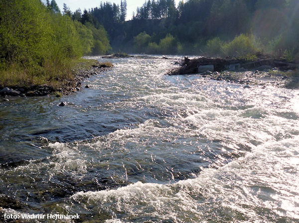 Ranní rozhovor s řekou Ranní rozhovor s řekou