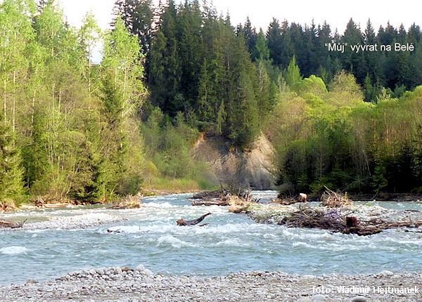 Můj vývrat na Belé Můj vývrat na Belé