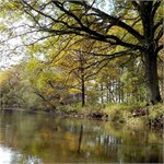 Podzimní řeky - Nežárka