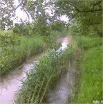 Štítarský potok