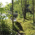 Lososí řeka Kiiminkijoki - I. část