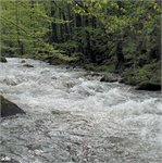 Vidnavka