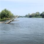 S paddleboardem opět na sever aneb kde končí Odra II/III