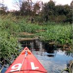 Městská vodní turistika ve Vratislavi: Olawa a Odra