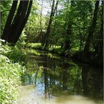 Opatovicky kanal za Bohdanci
