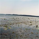 Charzykowské jezero - pozor na vítr
