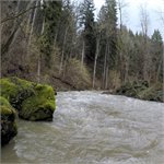 Březná pod Štíty, 24.02.2020, 102 cm (6m3/s)