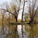 Soutok s Tichou dále Orlice