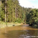 Trnávka