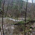 Zátaras pod Dobrým 05/01/2022, 3 kubíky vdčt Žákovec