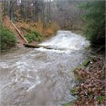 Nízká lávka u trampské osady 05/01/2022, 3 kubíky vdčt Žákovec