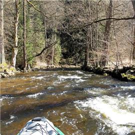 Dzika Orlica aneb hraniční toky