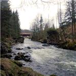 Grosser Regen  hraje k poslechu i tanci