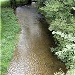 Jak jsme (ne)jeli Krounku