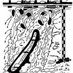 Jako by bylo víc vody, než obvykle.