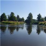 Naab u Luhe am Forst 