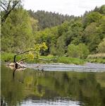 Sála - sestra Vltavy