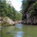 Schwarza pod Singerin