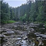 Situace pod jezem Dlouha Ves - 1,5 km suché koryto