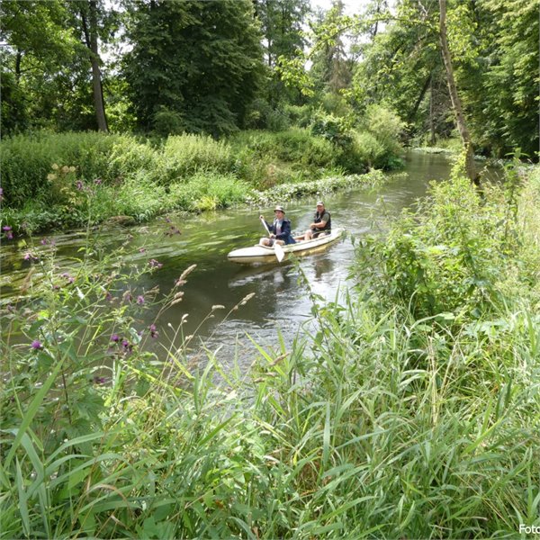 Wierzyca – řeka pro koněsery